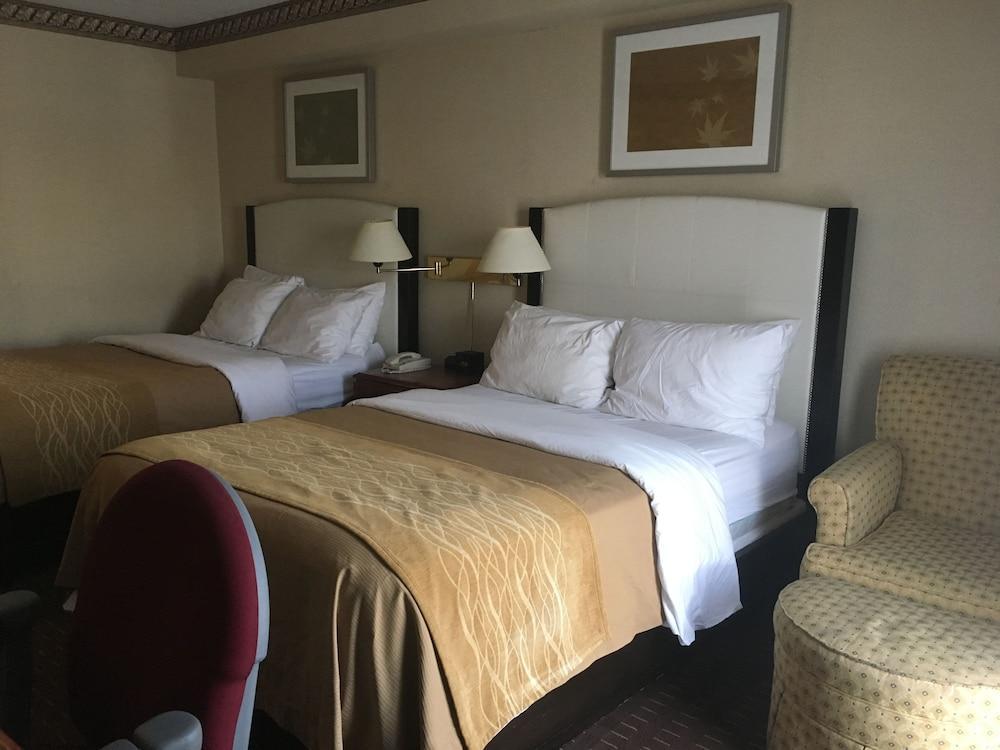 Comfort Inn Meadowvale Mississauga Zewnętrze zdjęcie