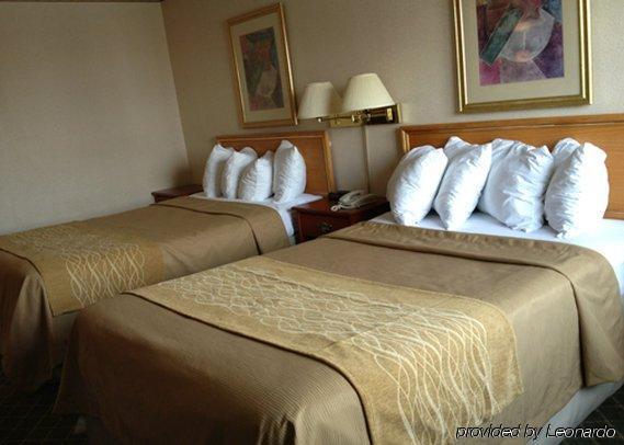 Comfort Inn Meadowvale Mississauga Pokój zdjęcie